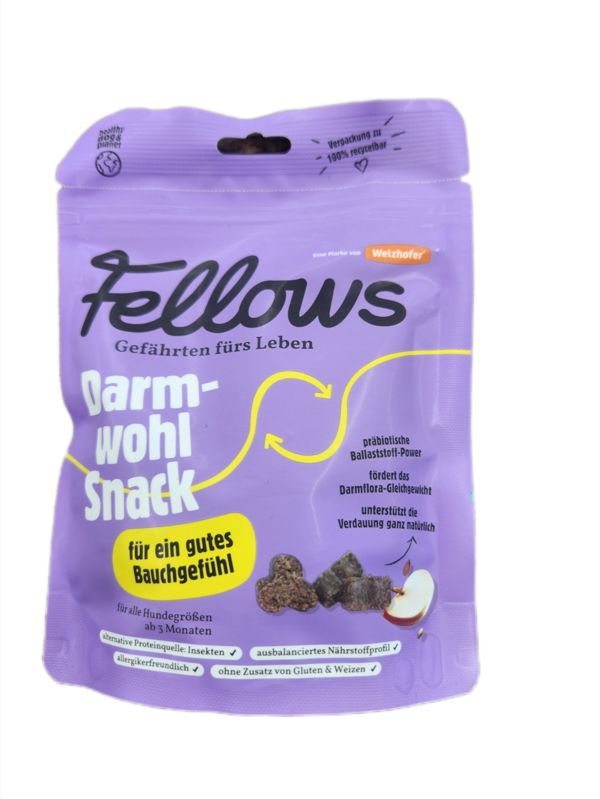 Fellows Darmwohl Snack 125g