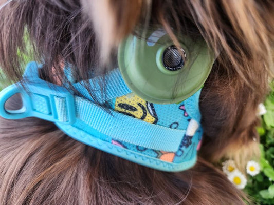 Ultraschall Zecken- & Flohschutz für Hunde Beispiel