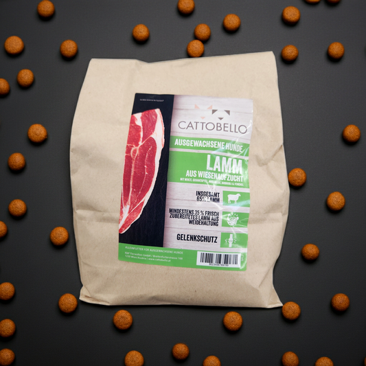 Cattobello Superfoods Lamm Trockenfutter Hund