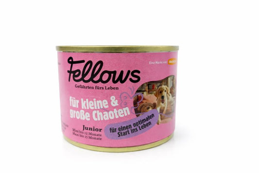 Fellows für kleine und große Chaoten 200g Hundefutter nass 