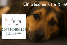Gutschein Cattobello mit Hundemotiv