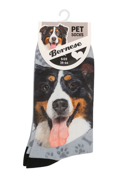 Socken Berner Sennenhund für Menschen grau mit Hundegesicht