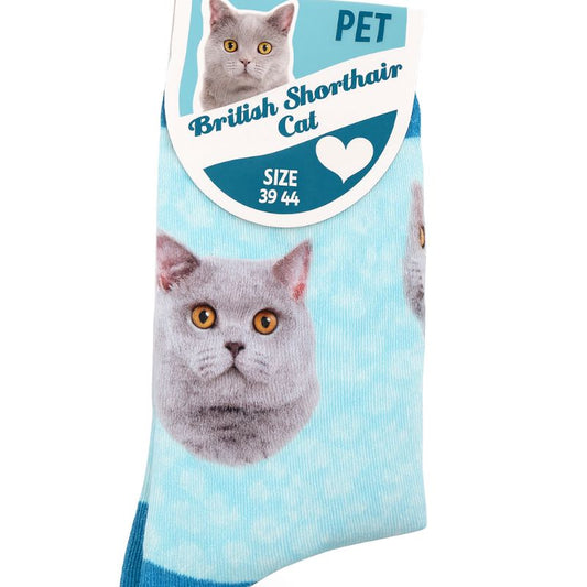 Socken British Shorthair türkis für Menschen mit Katzenmotiv