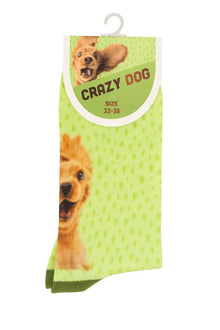 Socken Crazy Dog für Menschen grün mit Hundegesicht