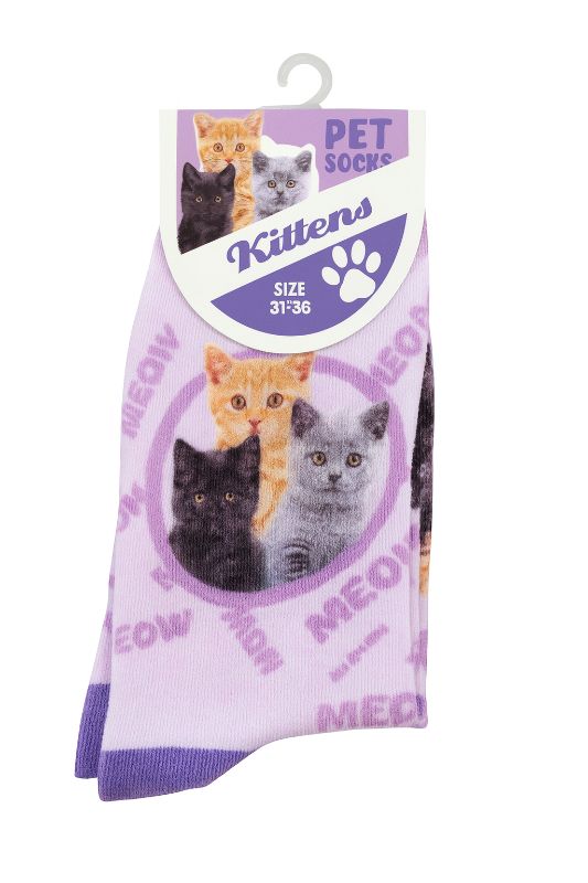 Socken Kittens lila für Menschen mit Katzenmotiv