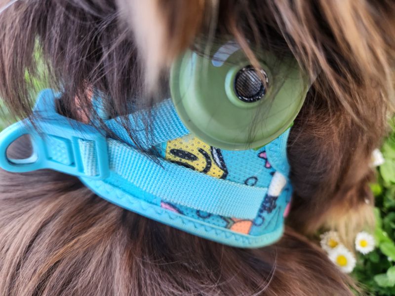 Ultraschall Zecken- & Flohschutz für Hunde Beispiel 